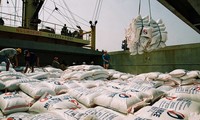 Впервые вьетнамский рис экспортирован в Австралию