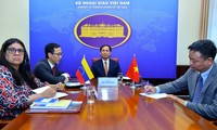 8-ые вьетнамо-венесуэльские политические консультации на уровне замминистров иностранных дел 