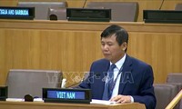 Вьетнам: АСЕАН поддерживает предотвращение распространения оружия массового поражения