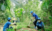 Программа посадки 1 млрд. деревьев для защиты и воспроизводства лесов