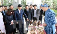 Hari-hari kebudayaan kota Ho Chi Minh berlangsung di kota Osaka, Jepang