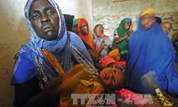 PBB mengutuk pembunuhan terhadap personel bantuan kemanusiaan
