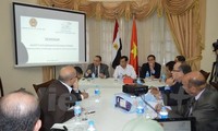 Lokakarya tentang kesempatan, tantangan dan prospek kerjasama Vietnam-Mesir