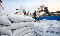 Kesempatan ekspor beras ke Filipina