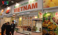 Pasar Vietnam mempesonakan badan-badan usaha Australia