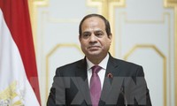 Presiden Mesir mengesahkan Undang-Undang mengenai Pembentukan Komite Pemilihan Nasional