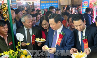 Menyosialisasikan dan memuliakan brand jeruk dan berbagai hasil pertanian Provinsi Ha Tinh