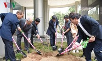 VOV menerima 100 pohon sakura pemberian oleh Sekolah bahasa JepangKairinjuku