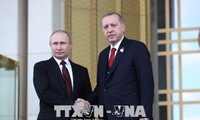 Presiden Rusia dan Turki mengadakan pembicaraan telepon tentang Suriah dan Jalur Gaza