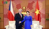 Pimpinan MN dan Pemerintah Viet Nam menerima Wakil Ketua Majelis Rendah Republik Czech