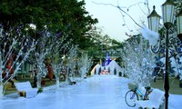 Festival “Hari Natal yang bergembira- Menyambut Tahun Baru 2019” di Taman Bunga Ho Tay