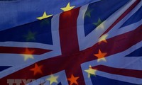 Masalah Brexit: Uni Eropa bersedia menunda waktu 29/3