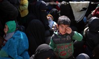Hampir 20 penduduk sipil  Suriah tewas, akibat serangan udara yang dilakukan pasukan aliansi internasional terhadap IS