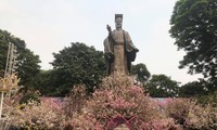 Kira-kira 20.000 ranting bunga Sakura bersemarak di Ibukota Ha Noi