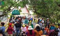 Kuil menyembah Au Lac, Kota Da Lat menyarap kedatangan banyak wisatawan pada Hari Haul Cikal Bakal Bangsa Raja Hung