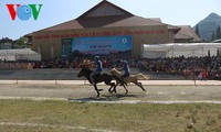 Provinsi Lao Cai sudah siap untuk pembukaan Festival daerah dataran tinggi putih Bac Ha