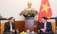 Deputi PM, Menlu Vietnam, Pham Binh Minh menerima Duta Besar Luar Biasa dan Berkuasa Penuh Thailand di Vietnam, Tanee Sangrat
