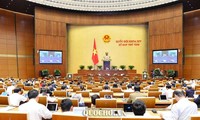 Persidangan ke-8, MN Vietnam angkatan XIV: MN melakukan interpelasi tentang  4 kelompok masalah