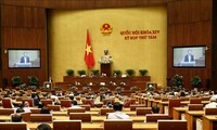 Persidangan ke-8, MN Vietnam, angkatan XIV: Bandara Internasional Long Thanh menciptakan  tenaga pendorong bagi perkembangan ekonomi