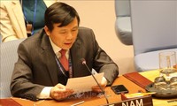Vietnam memperkenalkan prioritas-prioritas dalam masa bakti menjadi Anggota Tidak Tetap DK PBB