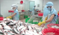 Banyak potensi untuk ekspor  ikan tanpa sisik di Daerah dataran rendah sungai Mekong