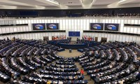 Komunitas internasional menyambut baik Parlemen Eropa yang meratifikasi Perjanjian EVFTA dengan Vietnam