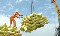 PM Pemerintah setuju mengekspor beras kembali tetapi harus menjamin ketahanan pangan