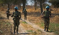 Vietnam mendukung Sudan dan Sudan Selatan memecahkan sengketa di Abyei melalui solusi damai