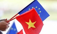 Vietnam perlu melakukan reformasi secara gigih untuk menerima kepentingan lengkap dari Perjanjian Perdagangan Bebas Vietnam –Uni Eropa