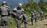 Dua bagian negeri Korea melanggar permufakatan gencatan senjata dalam tembakan di DMZ