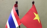Meratifikasi perundingan Perjanjian pemberian bantuan hukum di bidang sipil antara Vietnam dan Thailand