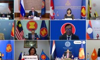 ASEAN-Rusia Perkuat Koordinasi Dalam Mengendalikan Pandemi Covid-19