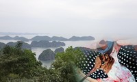 Vietnam Proaktif Memasuki Tahap Pemulihan Ekosistem