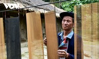 Kerajinan Menganyam Tirai Untuk  Buat Kertas “Ban” dari  Artisan Etnis Minoritas Dao Merah