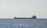 Kegiatan Kapal Pengangkut Biji-Bijian Melalui Laut Hitam akan Cepat Dioperasikan Kembali