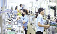 Vietnam Banyak Berpeluang Menyerap FDI dengan Kualitas Tinggi
