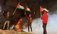 Rusia dan Mesir Menekankan Perlunya Mengaktifkan Kembali Perundingan Palestina-Israel Secepat Mungkin
