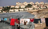 DK PBB Akan Lakukan Pemungutan Suara Tentang Resolusi yang Mengimbau Menghentikan Perluasan Tempat Pemukiman