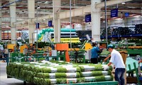 Selama Tujuh Bulan, Vietnam Menyerap Lebih dari 16 Miliar USD Modal FDI