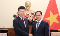 Hubungan Vietnam-Jepang sedang Berada Di Tahap Yang Paling Baik dalam Sejarah