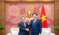Ketua MN Vietnam, Vuong Dinh Hue Terima Dubes Laos