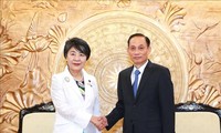 Membawa Hubungan Vietnam-Jepang Berkembang ke Level yang Baru, Stabil, Berkesinambungan dan Berjangka Panjang