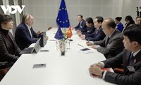 Uni Eropa Catat Perkembangan dan Kemampuan Vietnam tentang Transformasi Hijau