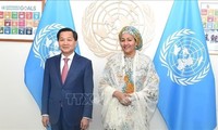 Deputi PM  Vietnam, Le Minh Khai Bertemu dengan Wakil Sekjen PBB
