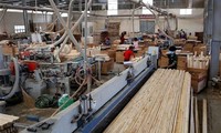 Le Salon international de l’industrie du bois s’ouvrira au Sud