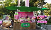 Mekong Delta festival highlights lotus
