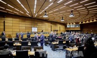 IAEA urges North Korea to stop nuclear development