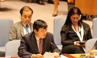 Vietnam attends UN First Committee’s debate on conventional weapons