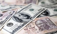 US Treasury says no major trading partner manipulates currency