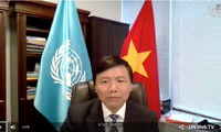 Vietnam urges parties in Central Africa to respect peace agreement